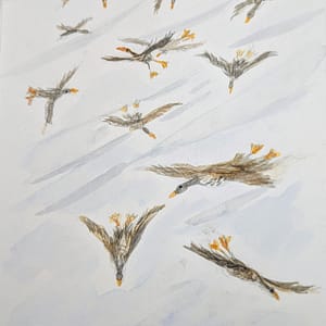How Do You Draw a Sound?