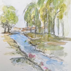 Riverbank at Great Ayton