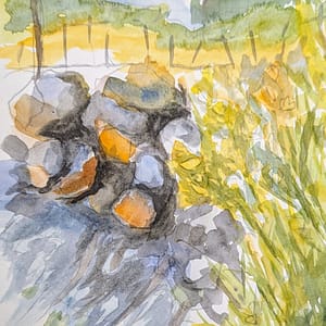 Little Yellow Gorse Hearts