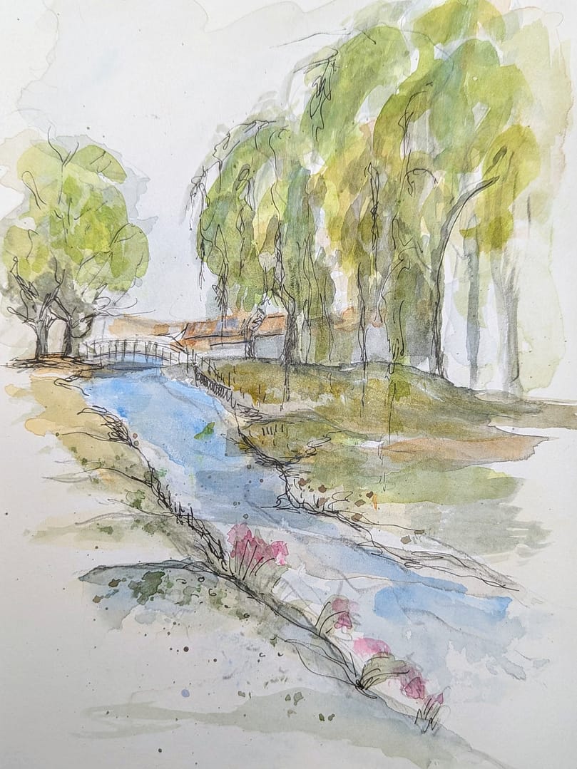 Riverbank at Great Ayton