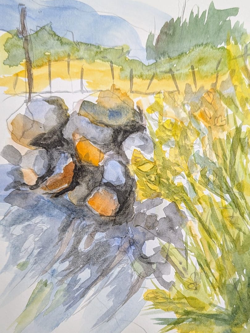 Little Yellow Gorse Hearts