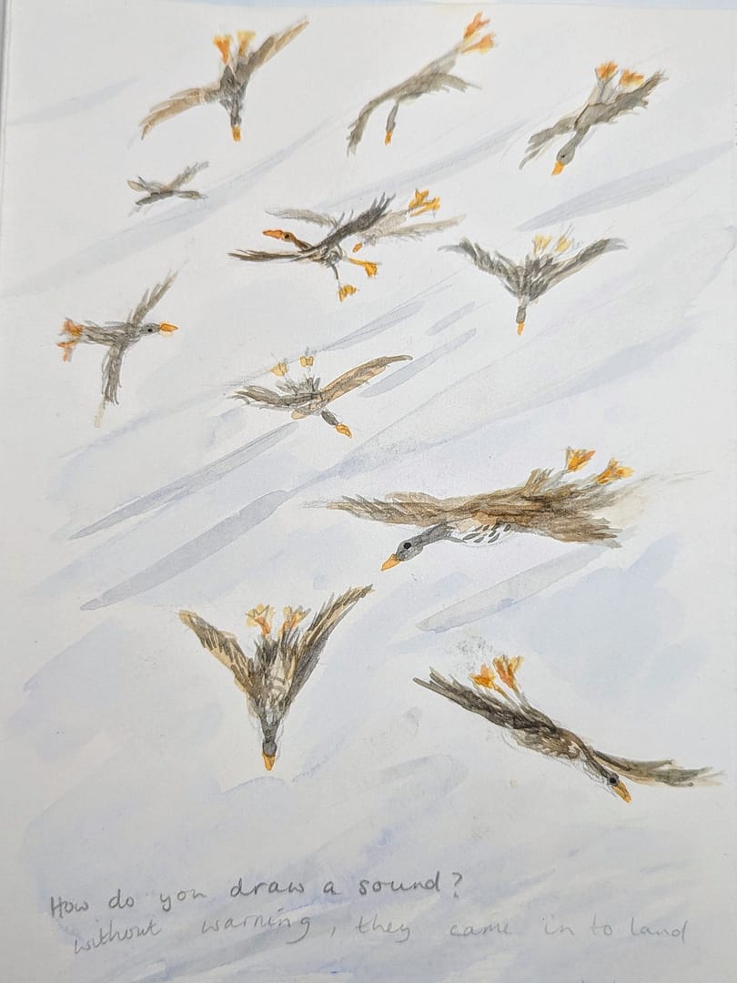 How Do You Draw a Sound?